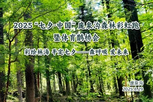 2025“七夕·中国”庞泉沟森林彩虹跑暨体育鹊桥会