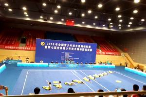 2018年全国青少年武术套路锦标赛暨第七届世界青少年武术锦标赛选拔赛片段