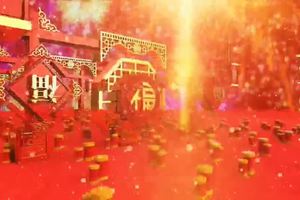 华舰全民健身新春运动会——正月初一、初六 拳击