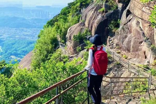 【打鼓障寻梅】｜打卡“深圳版千岛湖”打鼓嶂-鹅公岭-园山摘杨梅