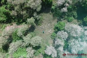 2020临沂苍马山越野挑战赛