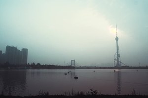 【最美绿道 跑向文明】临沂祊河绿化管理员