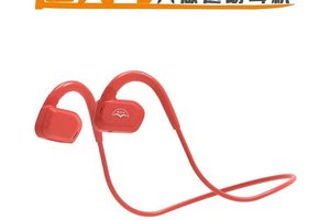 【追光鸟招募令】2024沂水半程马拉松战队招募！