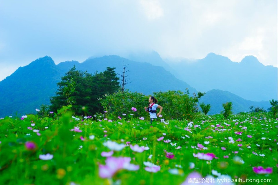 微信图片_20190618124728