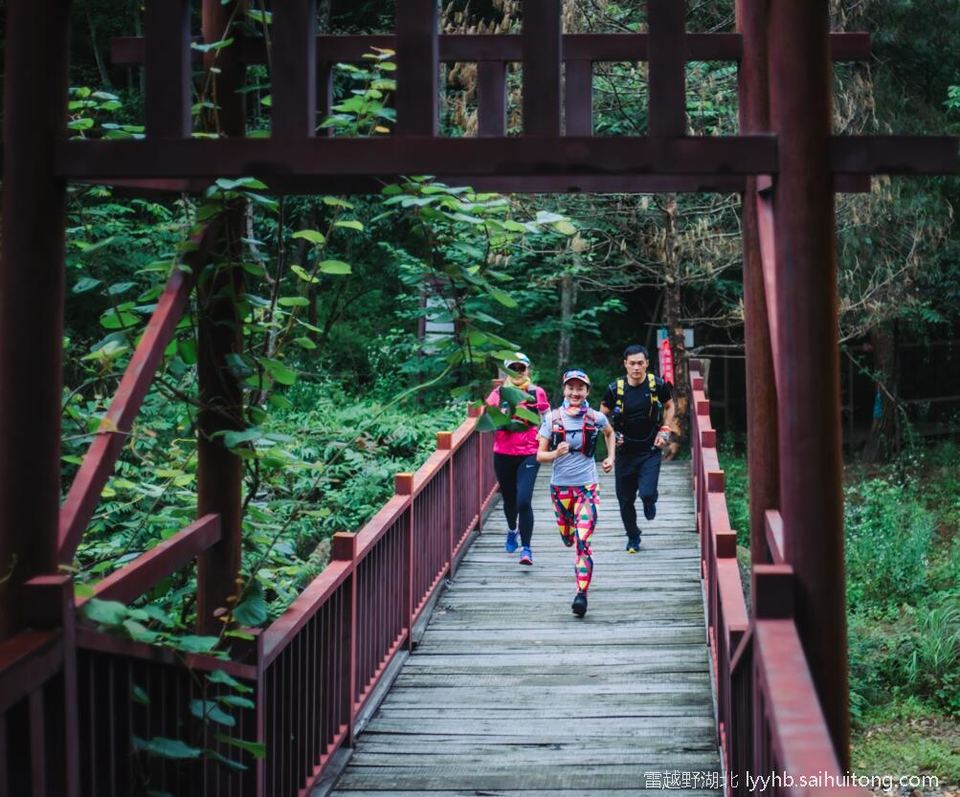 微信图片_20190618124738