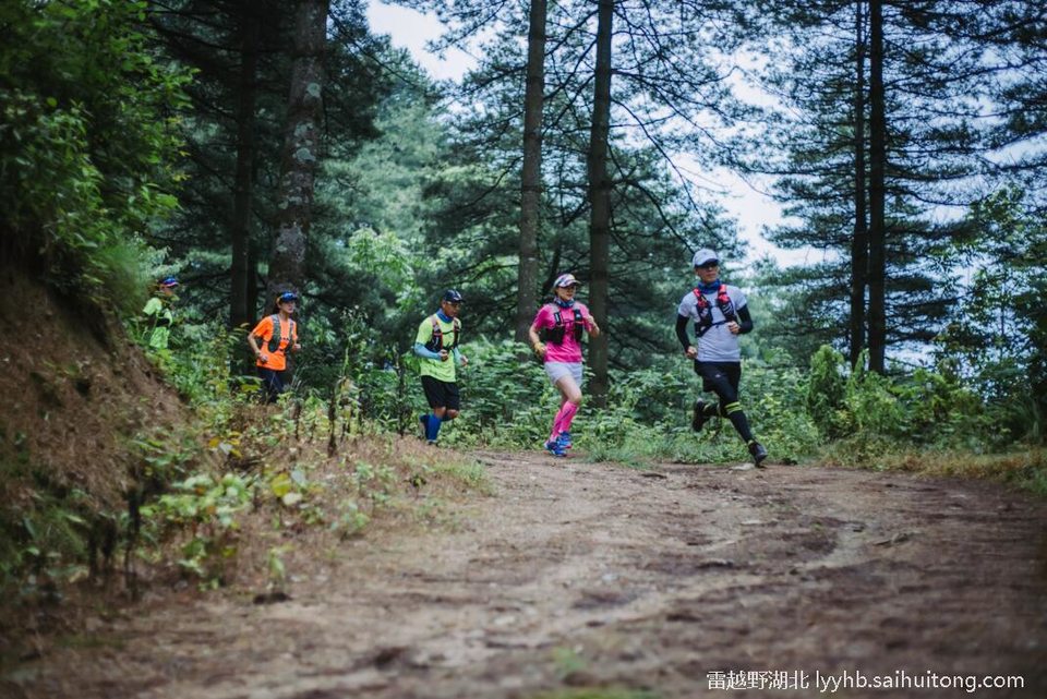 微信图片_20190618124754