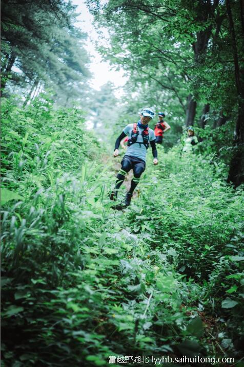 微信图片_20190618124758