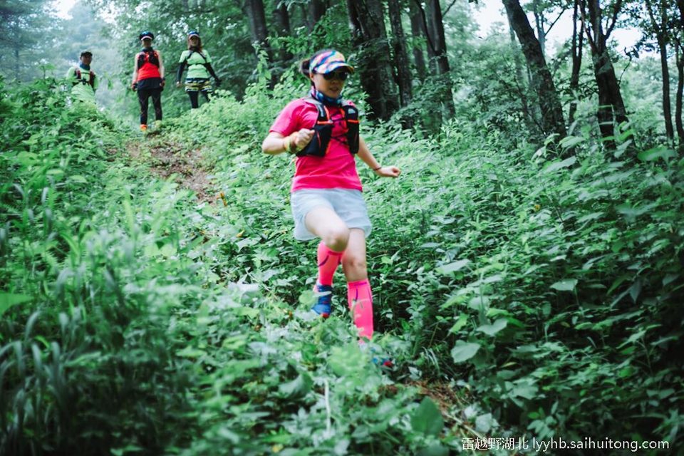 微信图片_20190618124803