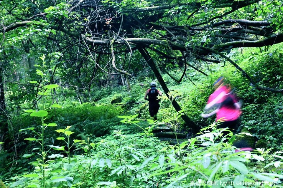 微信图片_20190618124816