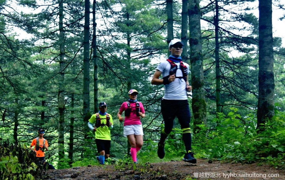 微信图片_20190618124821