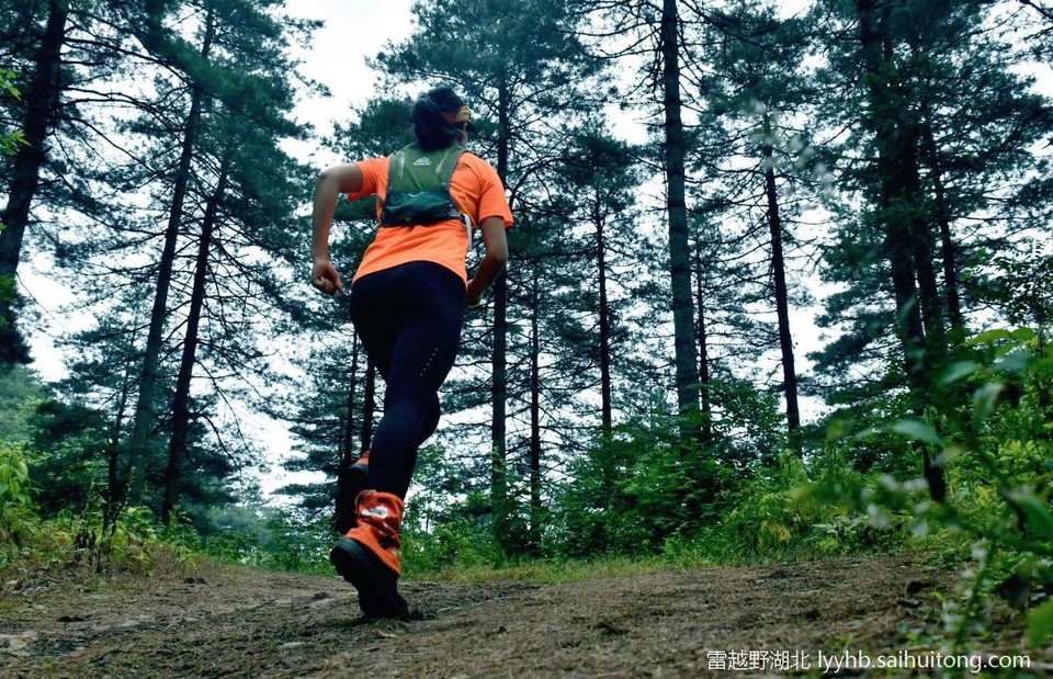 微信图片_20190618124830