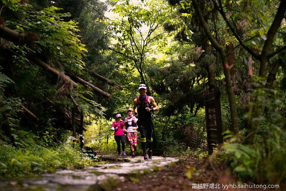 微信图片_20190618124841