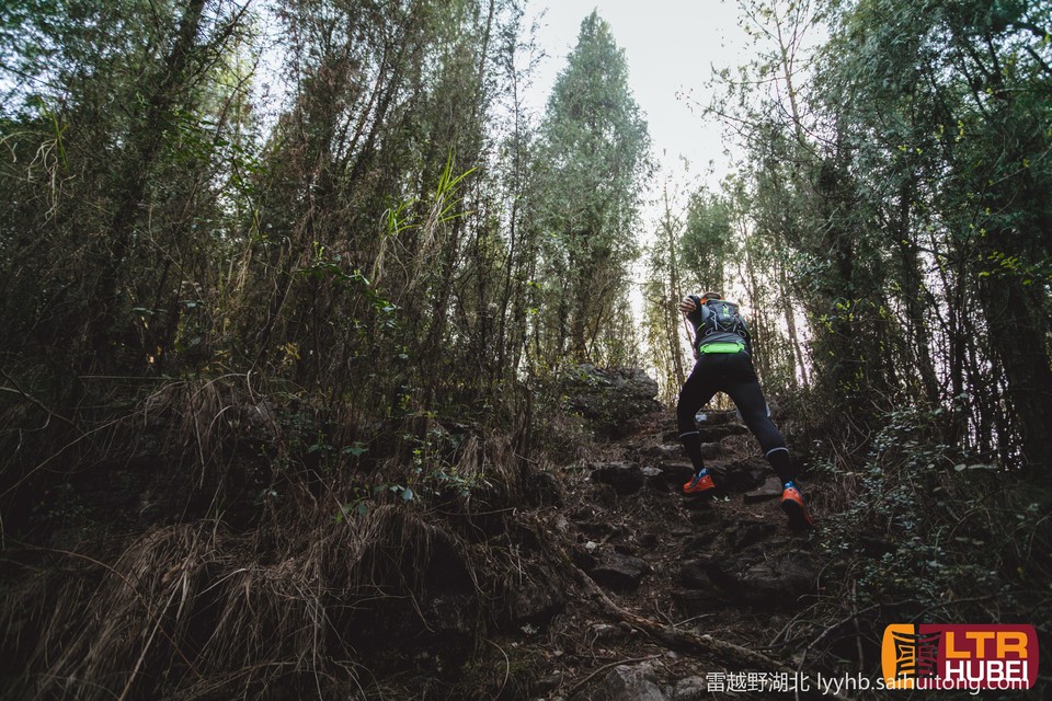 微信图片_20190618125620