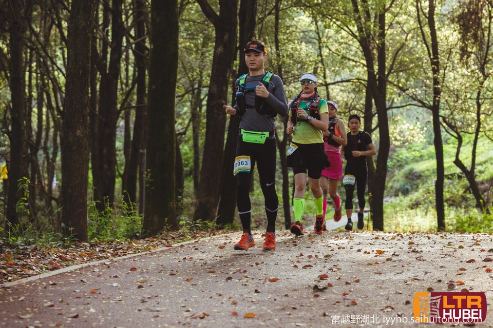 微信图片_20190618125629