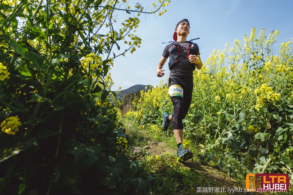 微信图片_20190618125634