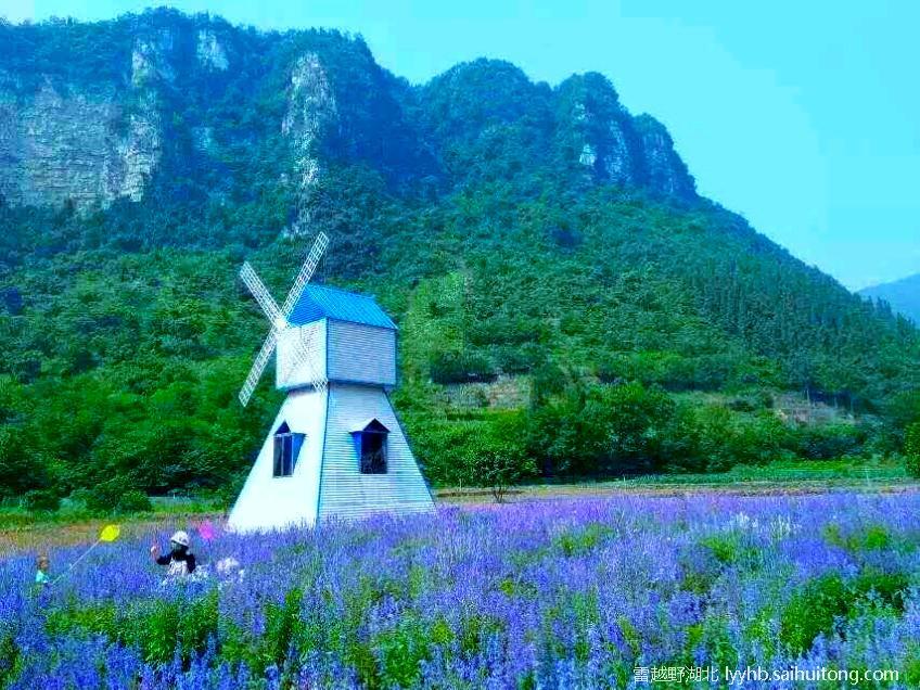 微信图片_20190618125647