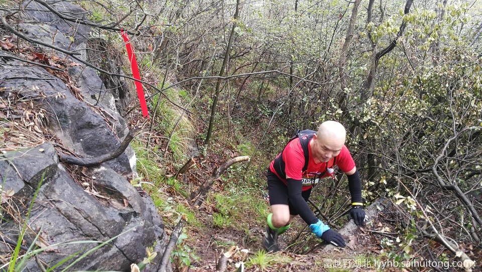 微信图片_20190618125818