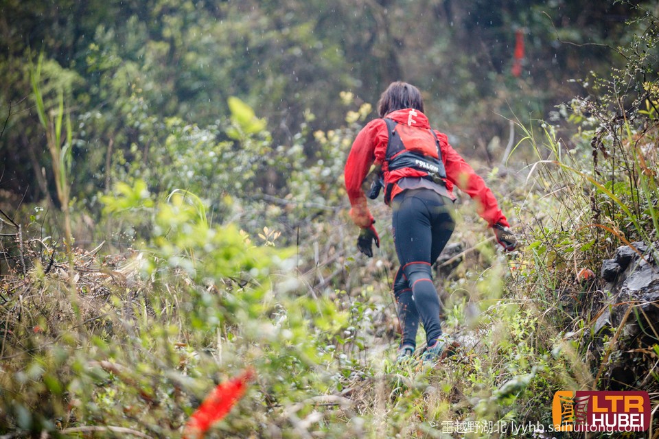 微信图片_20190618125832