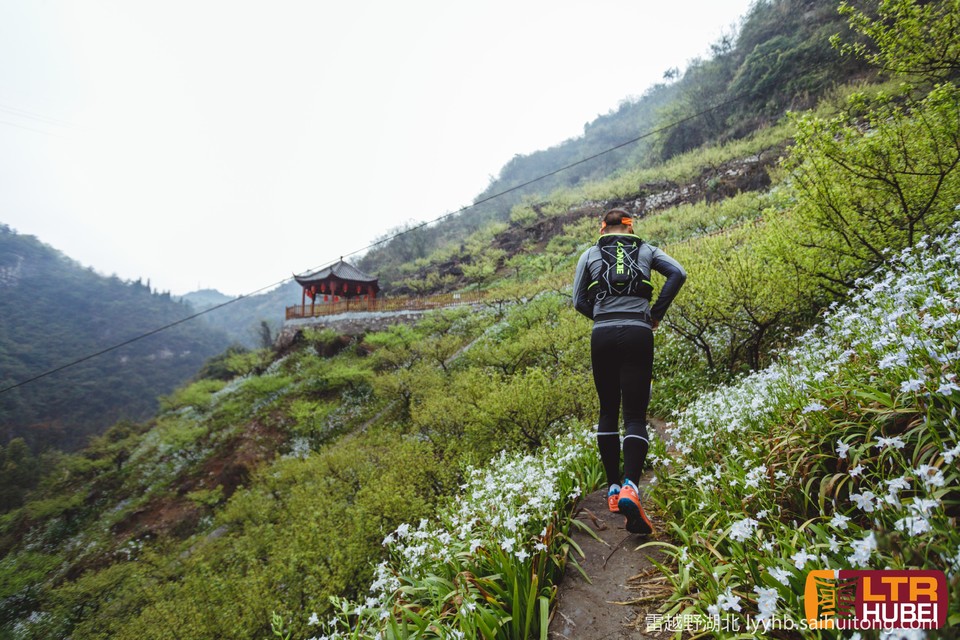 微信图片_20190618125902