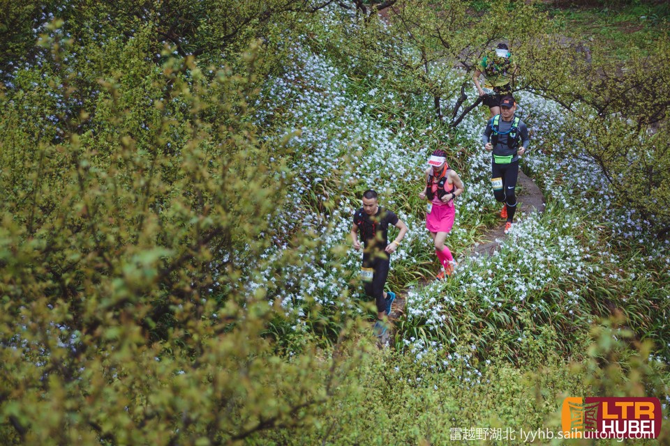 微信图片_20190618125908