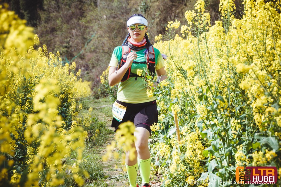 微信图片_20190618125913