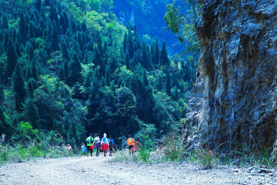 微信图片_20190618125935