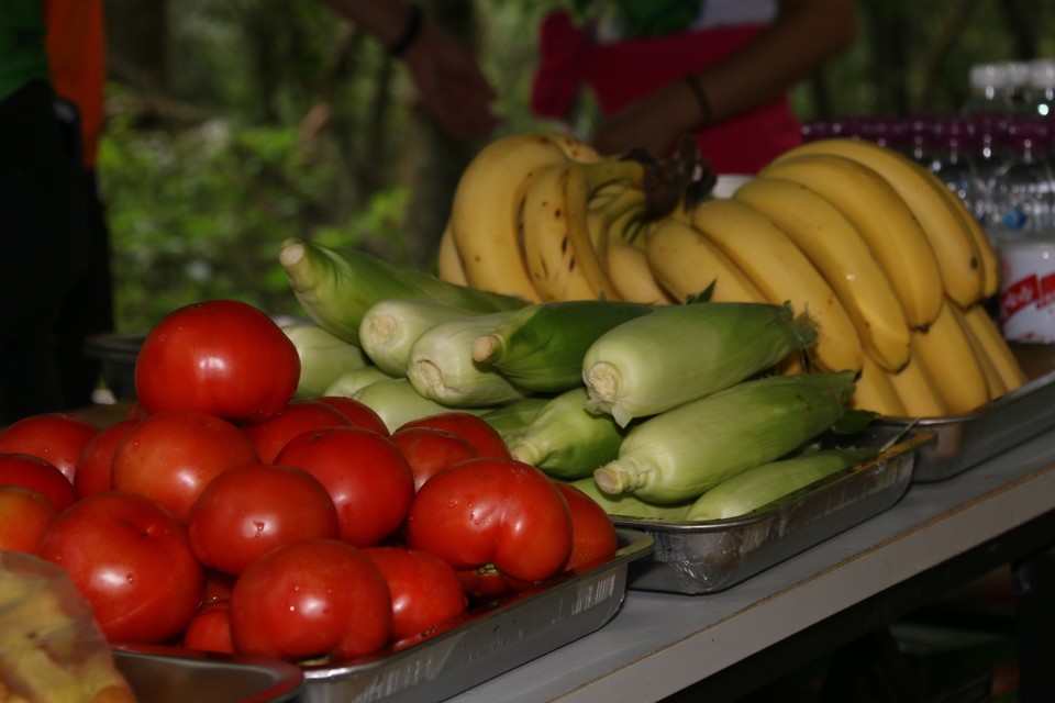 1DDA2E92-2300-4C15-8FF3-40E1B1C8E832