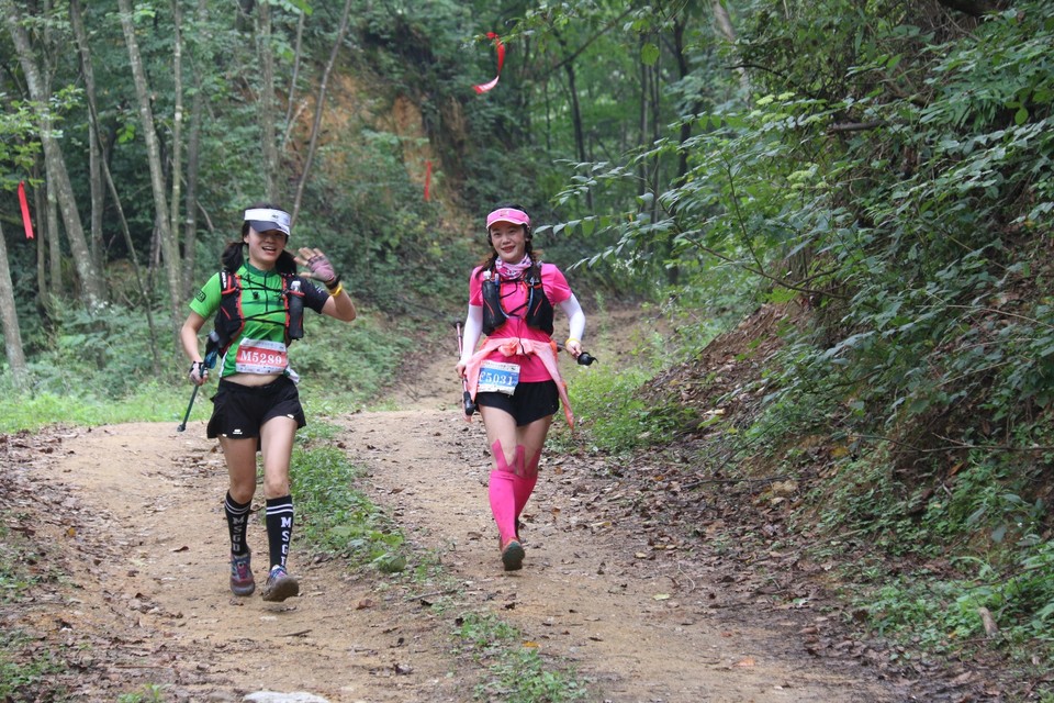 FBCDD73B-5EFE-4815-9731-EFEC07072D1B