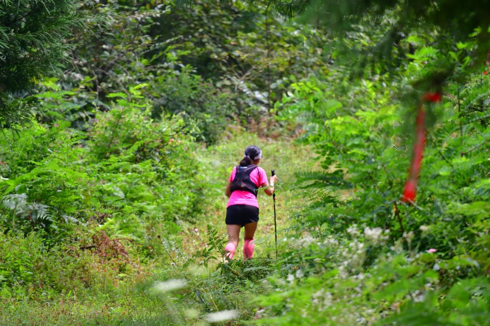 250D7963-C610-40AA-B5D1-722353377918