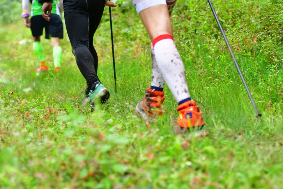 32E1BF1A-A4BC-4B48-9C16-7295FFD69EF3