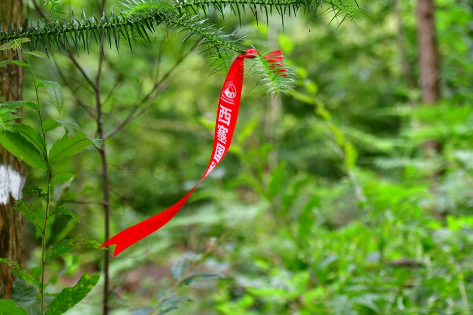 277EE935-CFA6-408E-A5CF-C05D335CB6D7