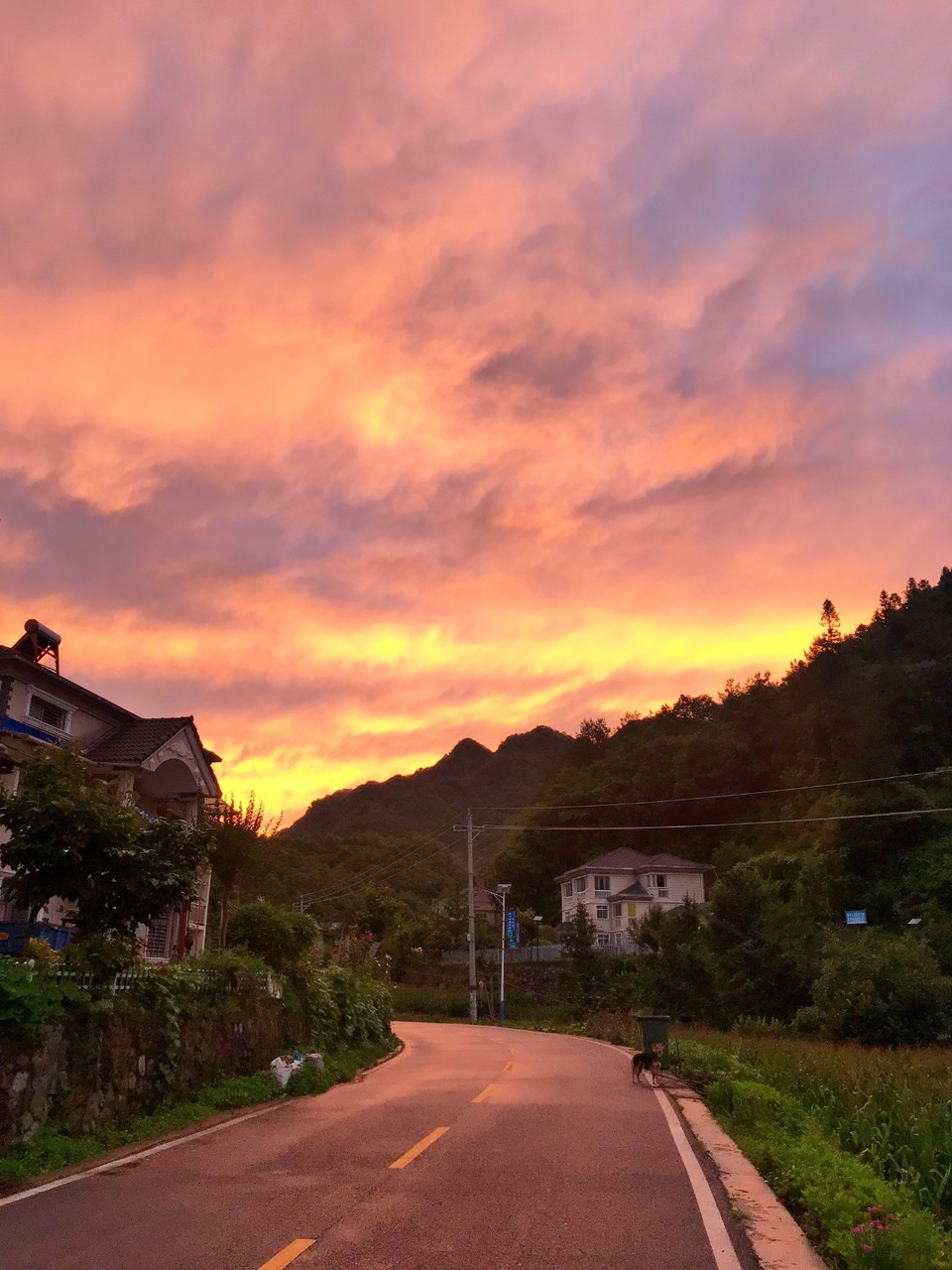 2DC8C231-2828-47DC-B738-1030A521944A