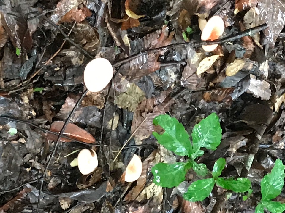 83297208-672E-458A-A6FD-A41D67C6285C