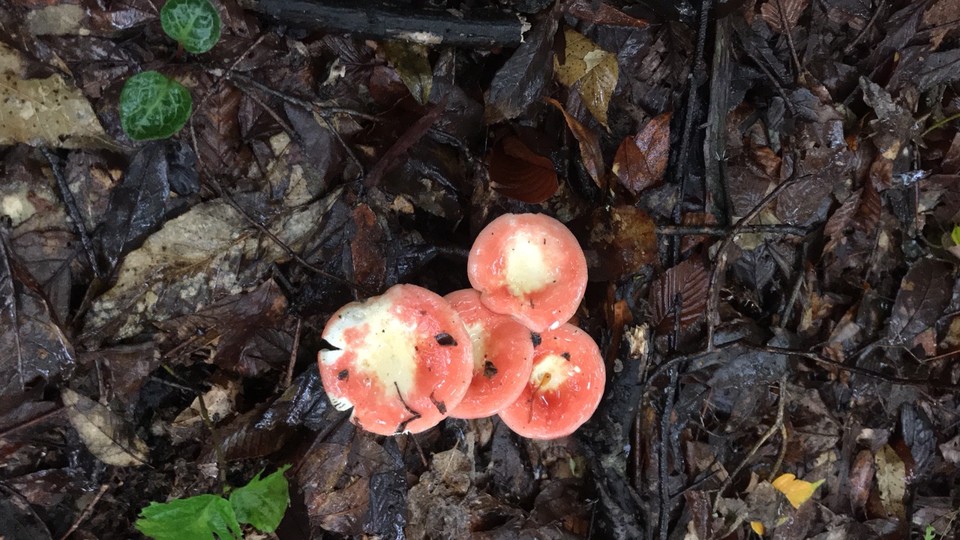 3737E5B6-0DAC-49D2-9507-A83FB243C877