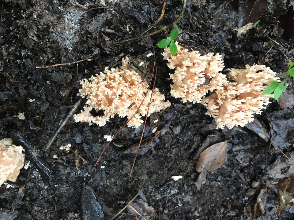 0187B080-D749-4E67-BBC5-3CE7F80053A9