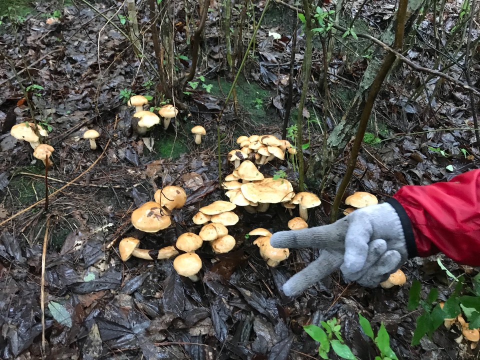 B041DE3D-995C-4A9C-AE04-66D039C65D22