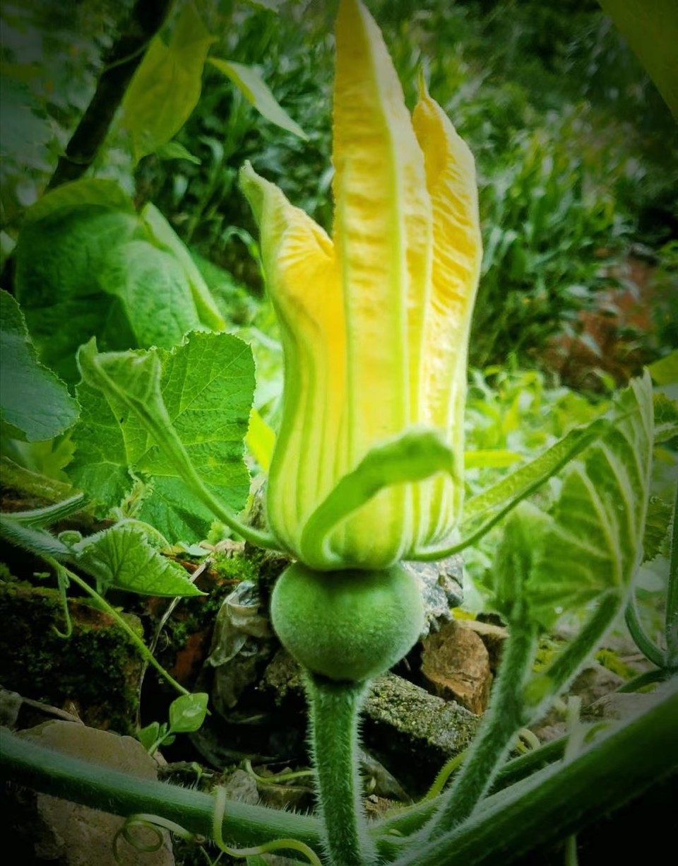 FBB471C4-CDAD-4BEC-ACFB-39B9095678BE