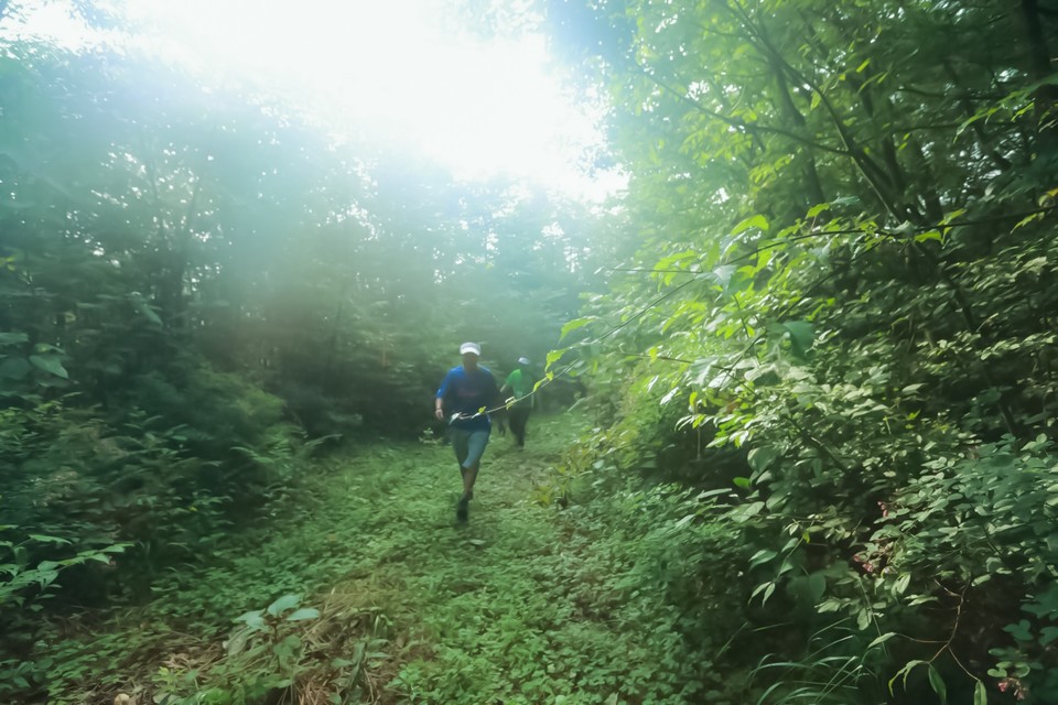 D0D6C630-2224-4574-87EF-135E0A28AF7E