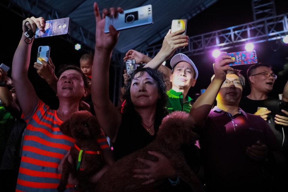 E591219B-9F1C-4DA7-94BD-7FF57B9369B2