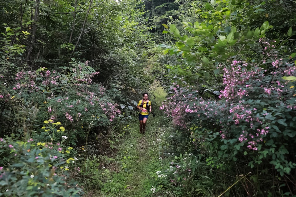 12007441-4D8D-4C01-8E47-D733E5A6CB52