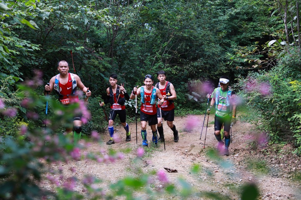 74FE0896-FC1F-401F-AA86-C7805B7B2928