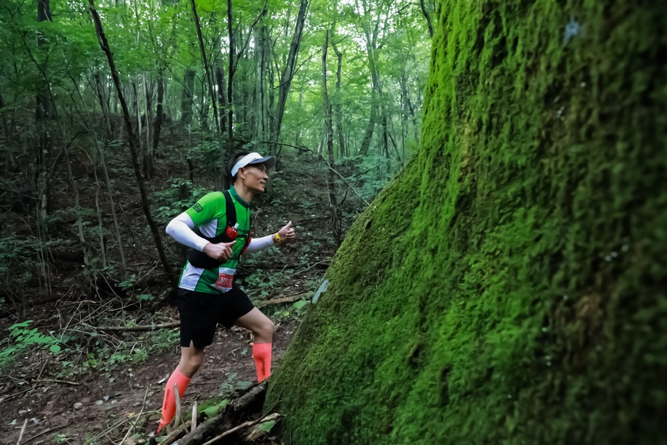 D46FBE6A-EFE7-42D5-B7BF-0E928879CAF7