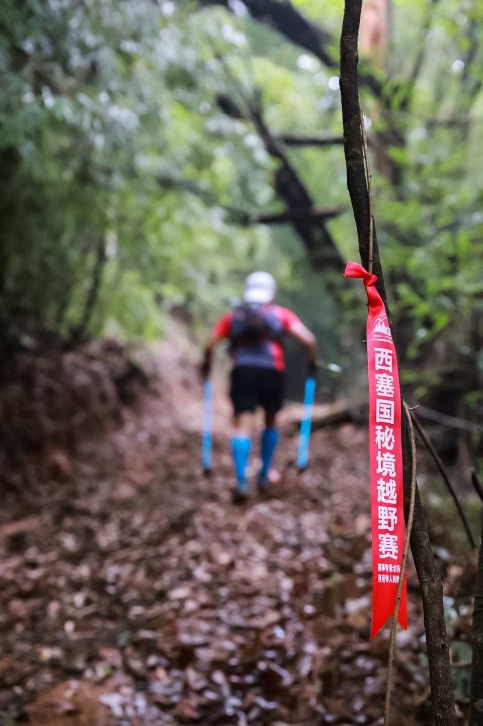 FD66F0C2-078F-4213-9CE3-3C071DD6898C