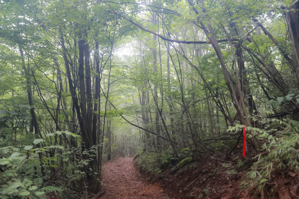 0697394D-3AB4-4F73-AECA-6980FC61F3B2