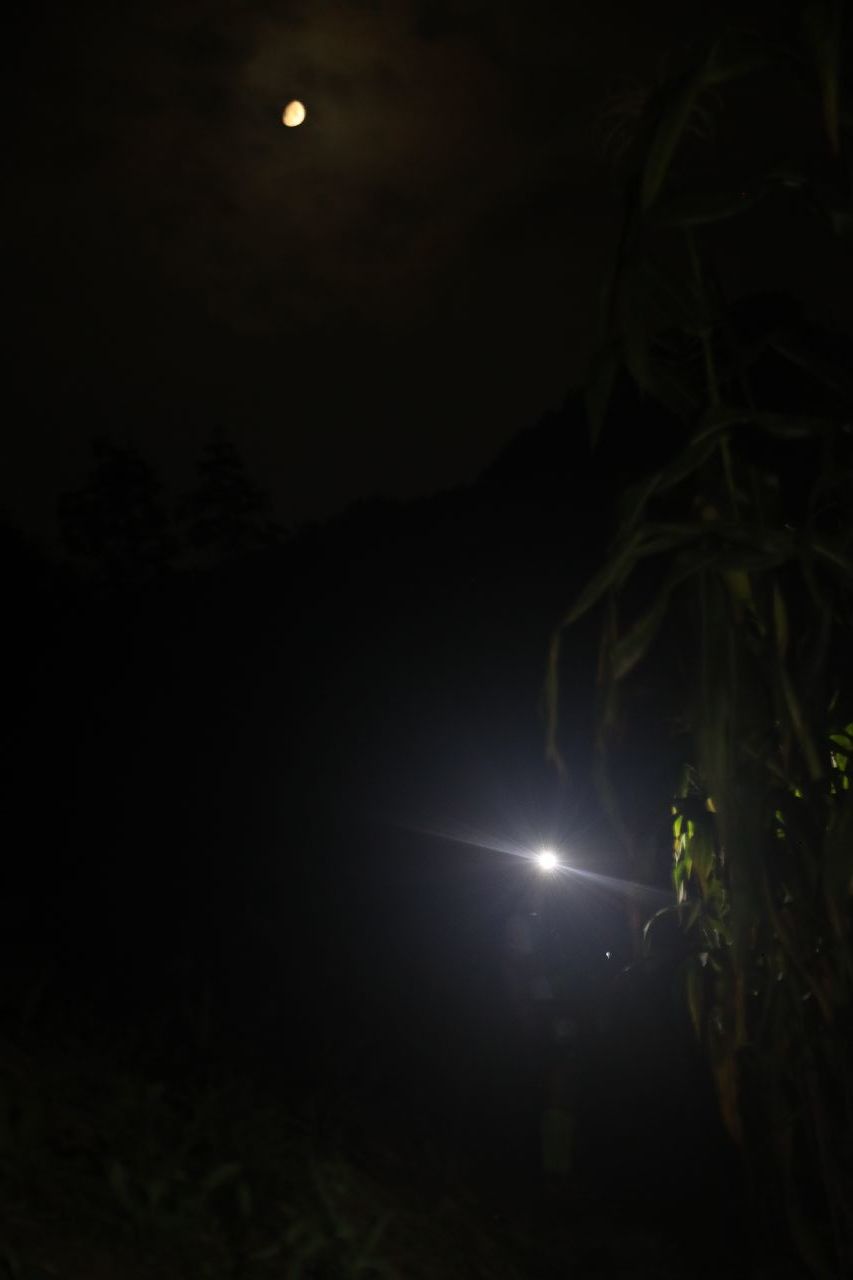 1598668783439_02cfab8b_81bb_4c05_b405_5855abbb75c1