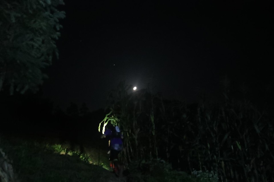 1598668857201_6c6dfa96_5fa2_4198_820c_5e63430936ba