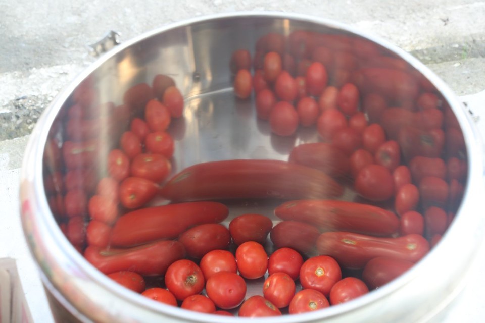 1598668902409_858dbcf4_fee5_49f5_9be5_980cd7cfb449