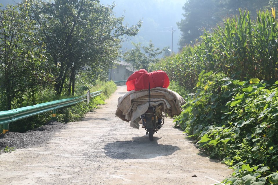 1598668908428_3332af50_a548_467c_922a_276b80daff8f