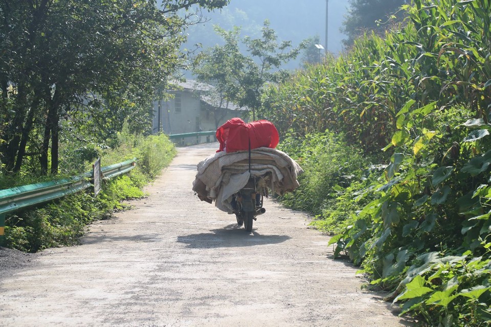 1598668909580_d3dfae1d_f263_4d6c_9981_02bbbd762f8e