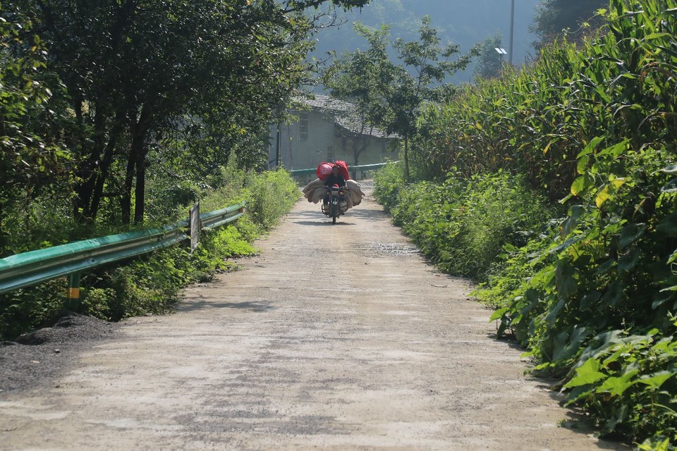 1598668910617_d823bf81_a3de_4a0e_a2e5_f7111ed8dcb6